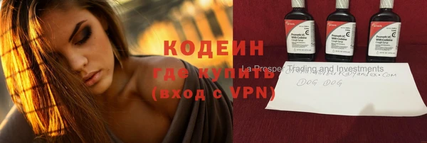 дурь Инта