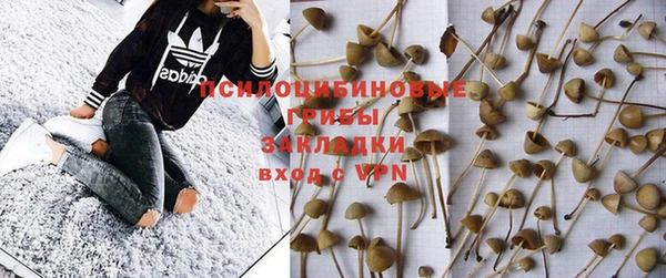 дурь Инта