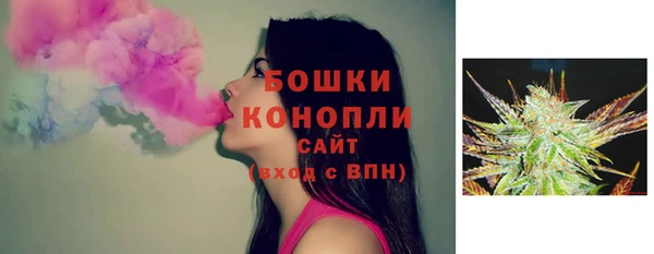 дурь Инта