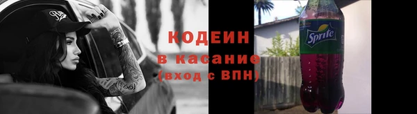 дурь Инта
