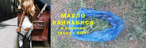 дурь Инта