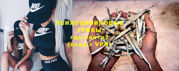 бутират Инсар