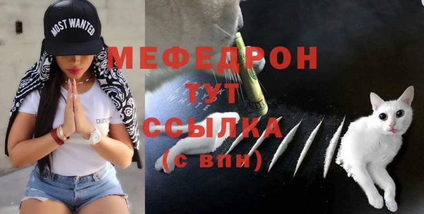 дурь Инта