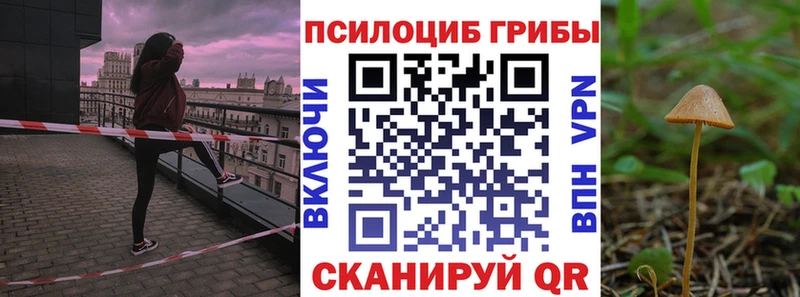 Псилоцибиновые грибы Psilocybine cubensis  Купить закладки  Давлеканово 